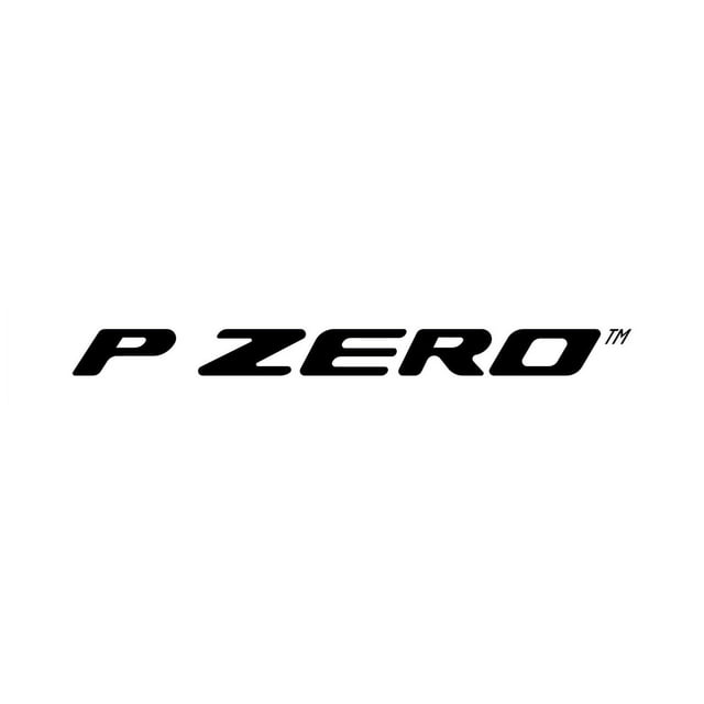 Pirelli P Zero (PZ4) 255/30-19 91 Y Tire Sansujyuku sansujyuku.com