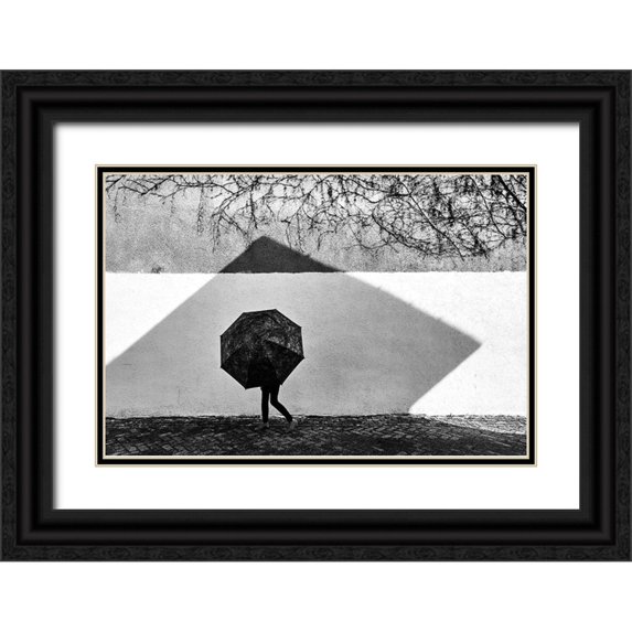 Pirvulescu, Panfil 32x23 Black Ornate Wood Framed with Double Matting Museum Art Print Titled - Shadow Geometry