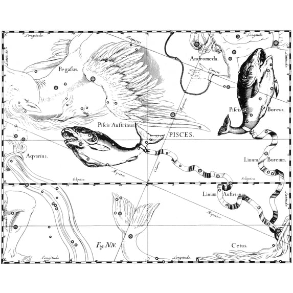 Pisces Constellation, Zodiac Sign, Hevelius Poster Print by Science Source (24 x 18)