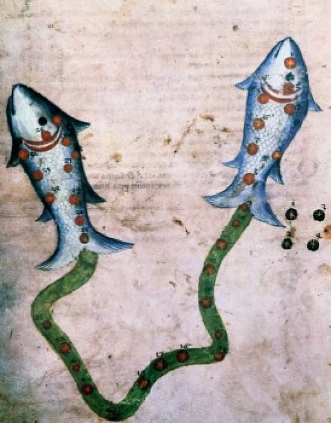 Pisces or Fish Signs of the Zodiac by artist unknown (from Atlas Celeste De Strabov) Canvas Art - (18 x 24)