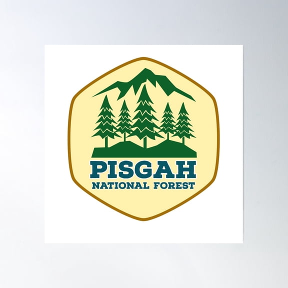 Pisgah National Forest North Carolina Vintage Poster Wall Art, Modern Wall Decor, 16x16 UNFRAMED