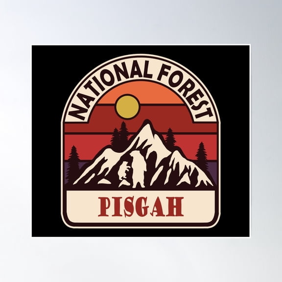 Pisgah National Forest Poster Wall Art, Modern Wall Decor, 24x36 UNFRAMED