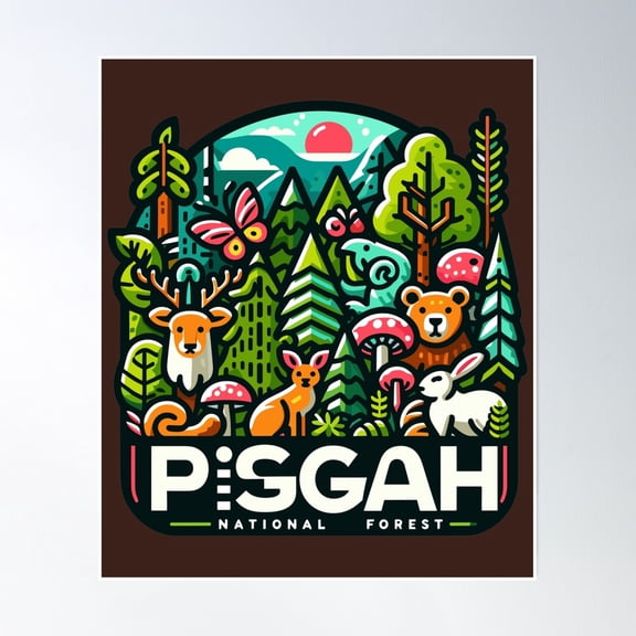 Pisgah National Forest Poster Wall Art, Modern Wall Decor, 24x36 UNFRAMED