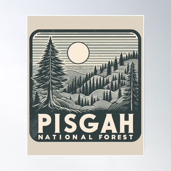 Pisgah National Forest Poster Wall Art, Modern Wall Decor, 24x36 UNFRAMED