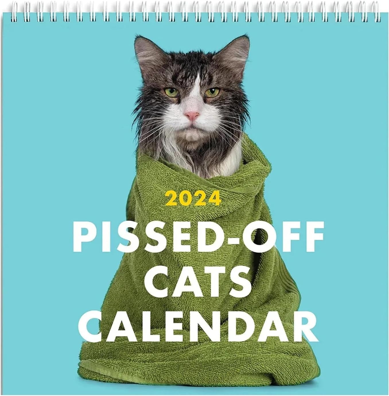 PissedOff Cats Calendar 2024 Funny Cat Wall Calendar Creative Calendar
