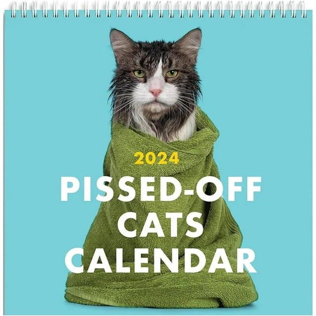 PissedOff Cats Calendar 2024 Funny Cat Wall Calendar Creative Calendar
