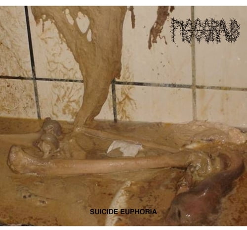 Pissgrave - Suicide Euphoria - Music & Performance - Vinyl