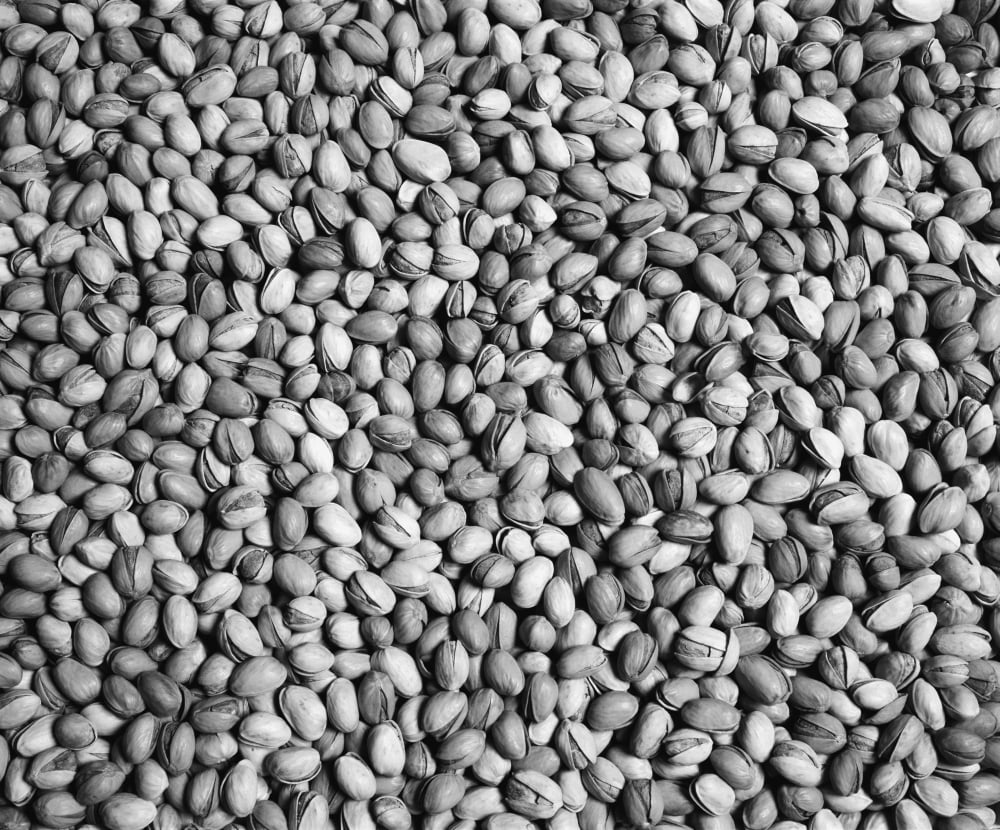 Pistachio nuts Waterloo Quebec Canada Canvas Art - David Chapman Design Pics (34 x 28)