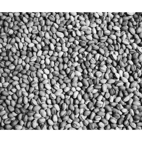 Pistachio nuts; Waterloo, Quebec, Canada Poster Print (17 x 14)