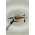 thumbnail image 1 of Pistol Pete's Freshwater Fly Fishing Lure for Trout & Panfish, Size 10, Ginger, 2-pack, 1 of 1