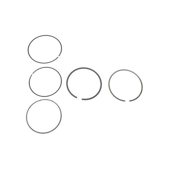 Piston Ring Set - Compatible with 2003 - 2006 Porsche Cayenne - Goetze