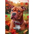 thumbnail image 1 of Pit Bull Red - Best of Breed DCR Falling Leaves Garden Flag 12" x 17", 1 of 1