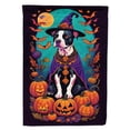 thumbnail image 1 of Pit Bull Terrier Witchy Halloween House Flag, 1 of 7