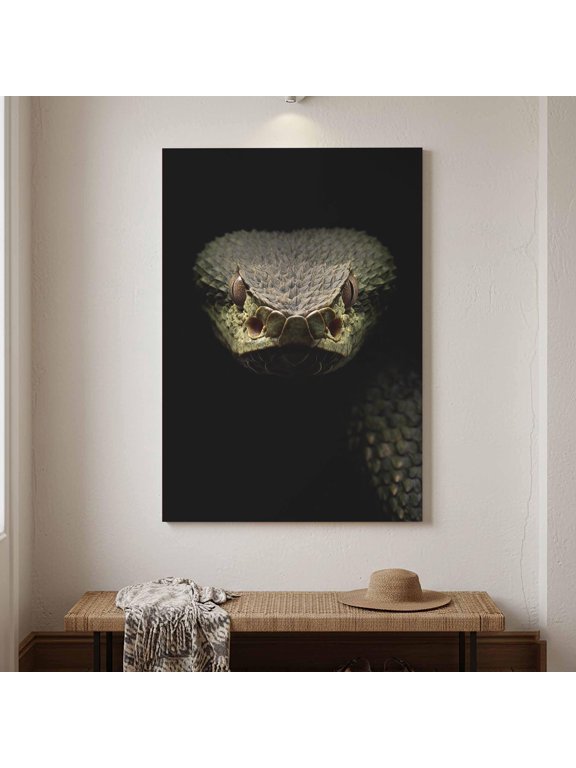 Pit Viper Portrait Wall Art Dark Wildlife Print Home Decor Office Wall Art Living Room Decor, Paper Poster Only
