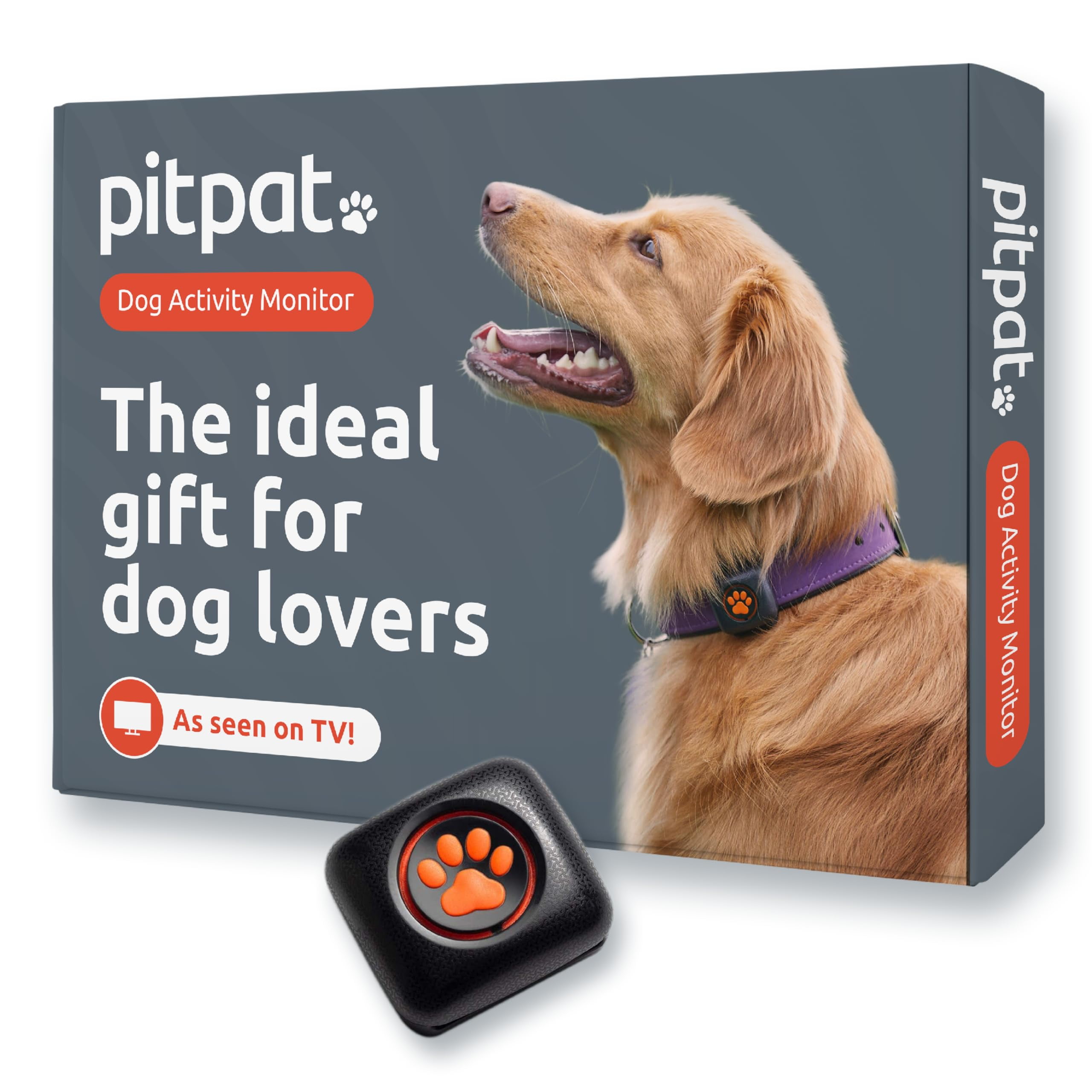 PitPat Dog Activity and Fitness Monitor No Recharging or Subscription  Required Suitable for All Dogs and Fits All Collars Smart Activity  Tracker