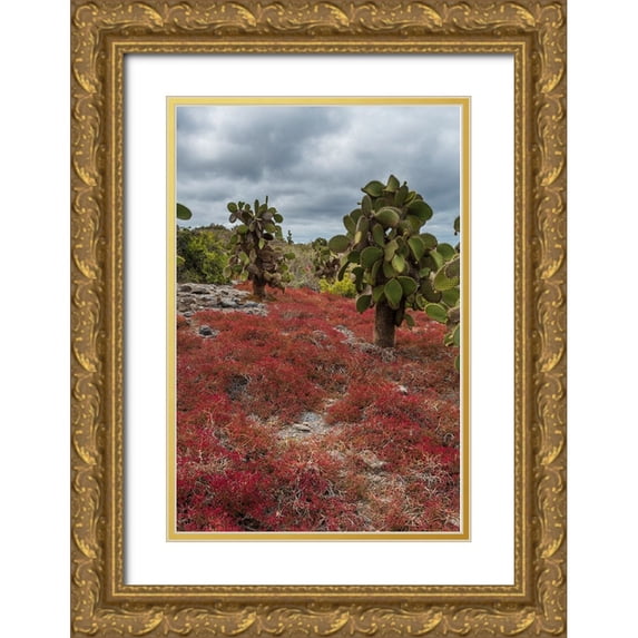 Pitamitz, Sergio 13x18 Gold Ornate Wood Framed with Double Matting Museum Art Print Titled - Sesuvium edmonstonei and cactus-South Plaza Island-Galapagos islands-Ecuador