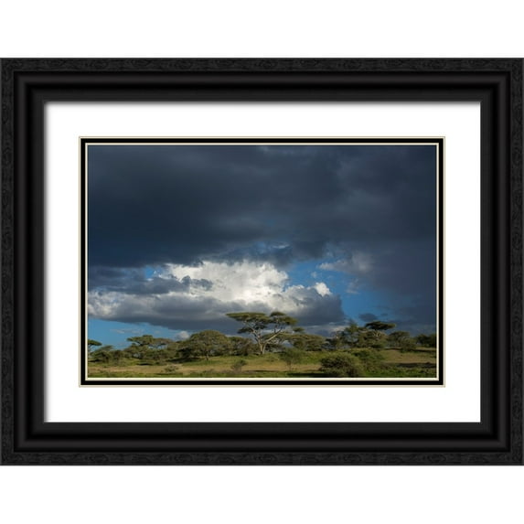 Pitamitz, Sergio 14x11 Black Ornate Wood Framed with Double Matting Museum Art Print Titled - Rainstorm approaching Ndutu-Ngorongoro Conservation Area-Serengeti-Tanzania
