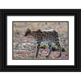 thumbnail image 1 of Pitamitz, Sergio 18x13 Black Ornate Wood Framed with Double Matting Museum Art Print Titled - Serval-Leptailurus serval-Ndutu-Ngorongoro Conservation Area-Serengeti-Tanzania, 1 of 4