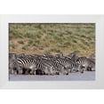 thumbnail image 1 of Pitamitz, Sergio 18x13 White Modern Wood Framed Museum Art Print Titled - A herd of plains zebras-Hidden Valley lake-Ndutu-Ngorongoro Conservation Area-Serengeti-Tanzania, 1 of 4