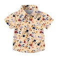 thumbnail image 1 of Pitauce Hawaiian Shirts for Boys, Short Sleeve Button Down Shirt, Summer Tropical Beachwear for 2-15 Years, 1 of 9
