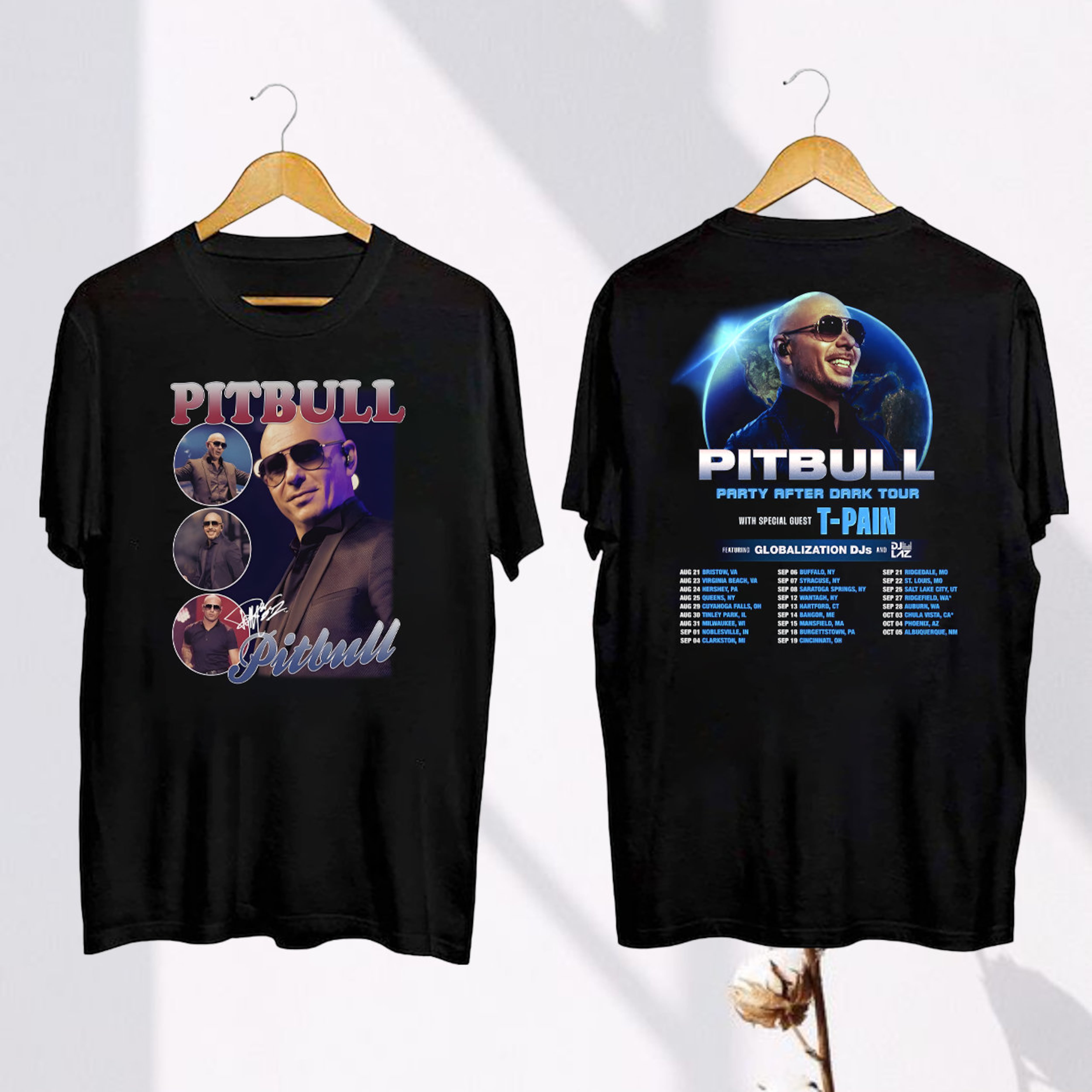 Pitbull 2024 Concert Shirt, Pitbull Party After Dark Tour 2024 TShirt