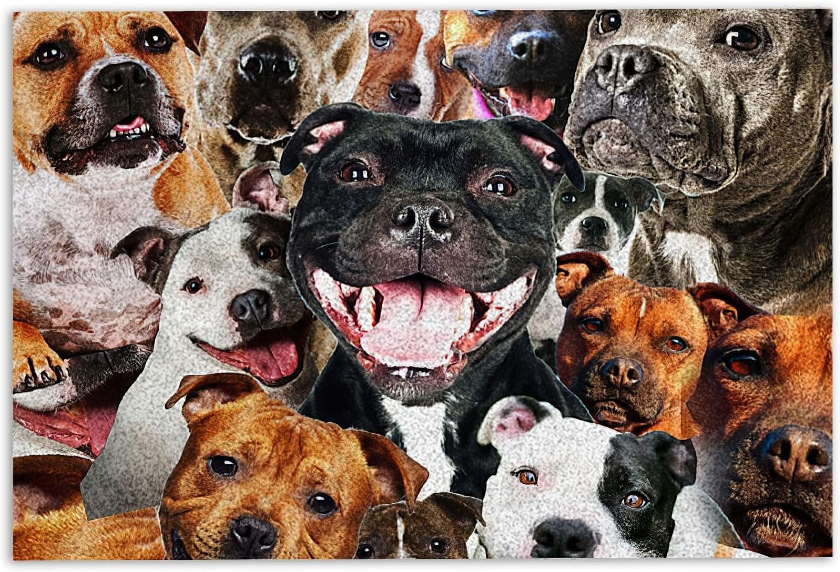 Pitbull Door Mat Funny Staffordshire Pitbull Terrier Dogs Hope You Like