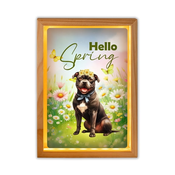 Pitbull Hello Spring Time Flower Floral Nature Acrylic Plaque with Wood Photo Frame Box Terrier Dog Lover Light Box - 02031