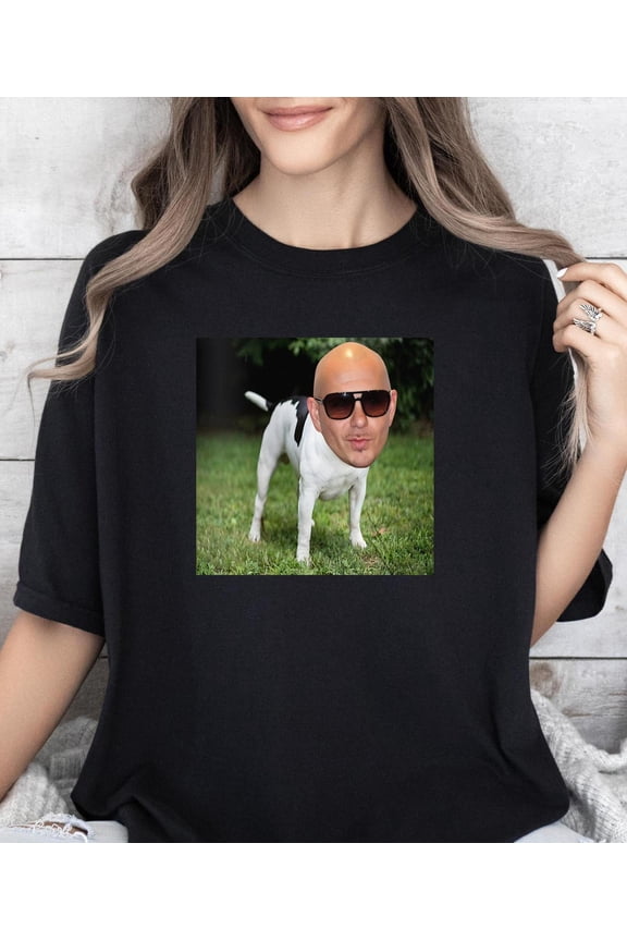 Pitbull Mr Worldwide###ANANDHIS ART LLC