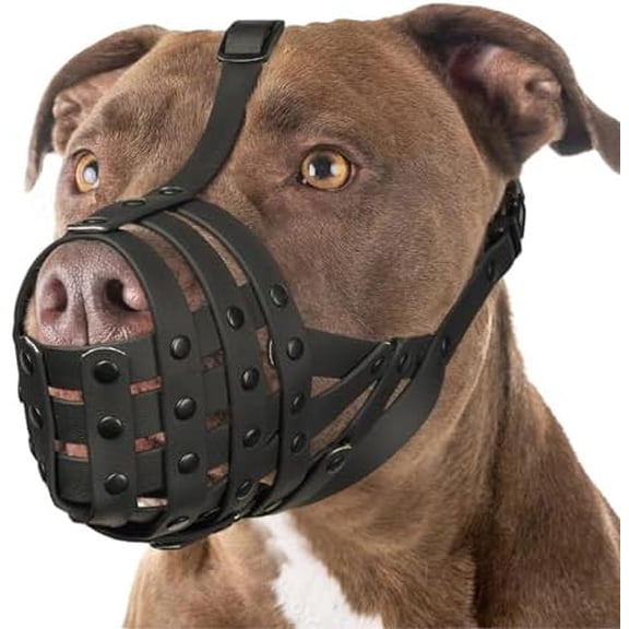 Pitbull Muzzle for Large Medium Sized Dogs to Prevent Biting Scavenging, Basket Muzzle for Rottweiler Staffordshire Terrier in Grooming Training, Allow to Pant Drink, Lightweight and Sturdy