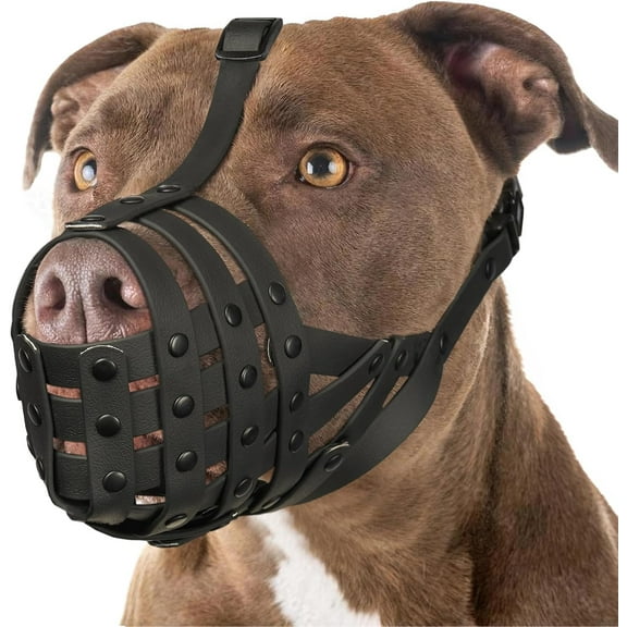 Pitbull Muzzle for Large Medium Sized Dogs to Prevent Biting Scavenging, Basket Muzzle for Rottweiler Staffordshire Terrier in Grooming Training, Allow to Pant Drink, Lightweight and Sturdy