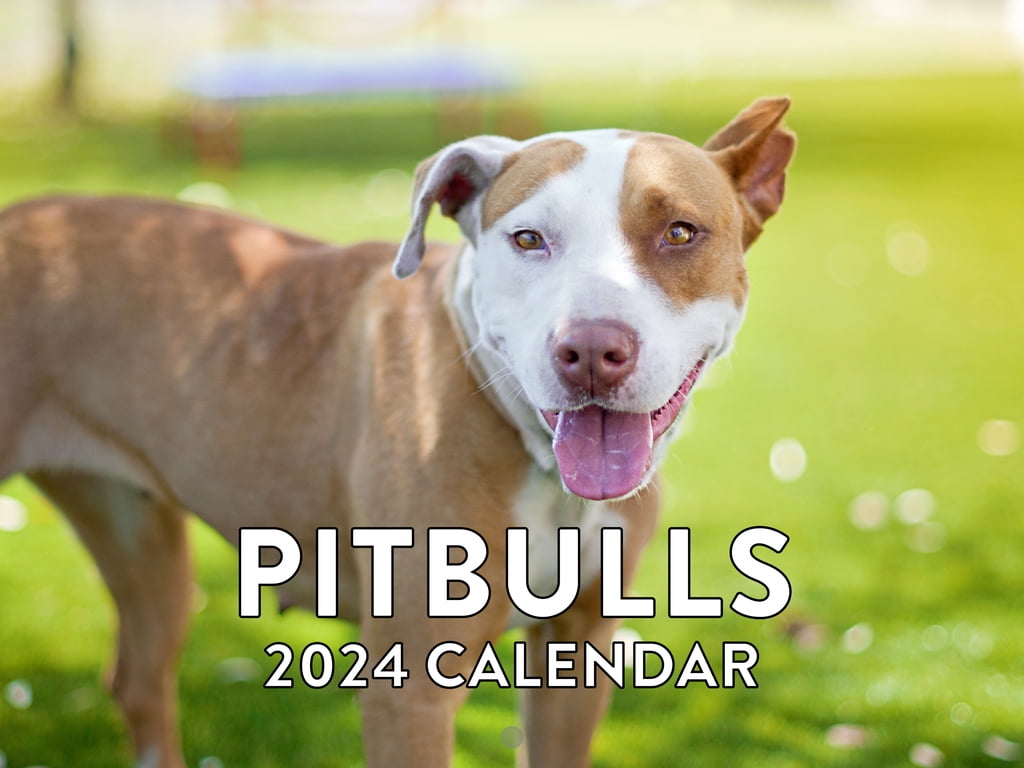 Pitbull Pitt Bull Gifts Calender Dog Breed 2024 Wall Calendar Pitbull