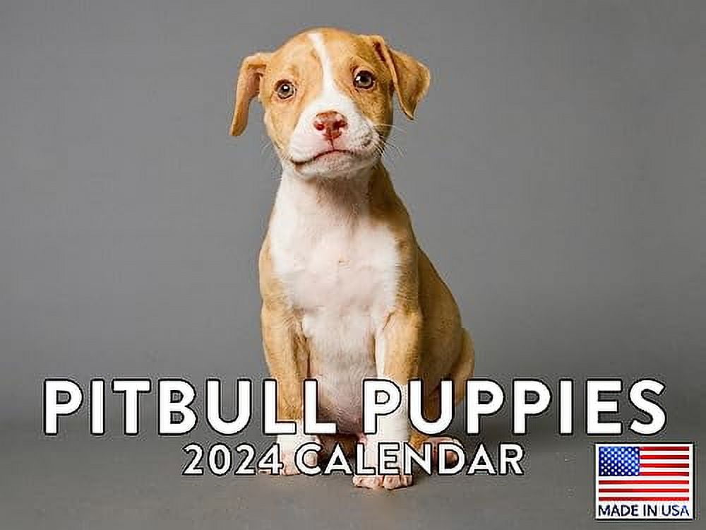 Pitbull Puppy Calendar 2024