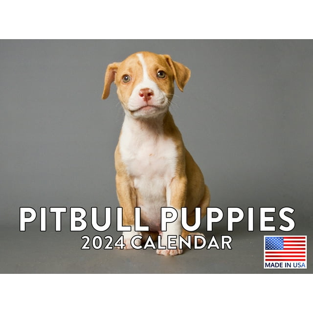 Pitbull Puppy Dog Lovers Breeders Gift 2024 Wall Calendar