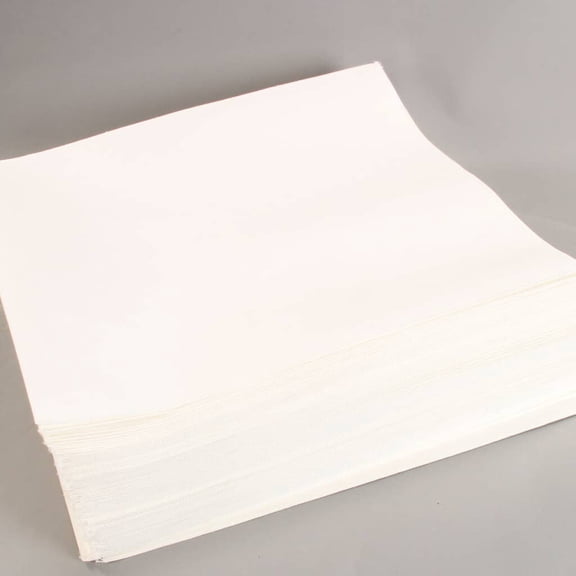 Pitco A6667101 Filter Envelopes- 100