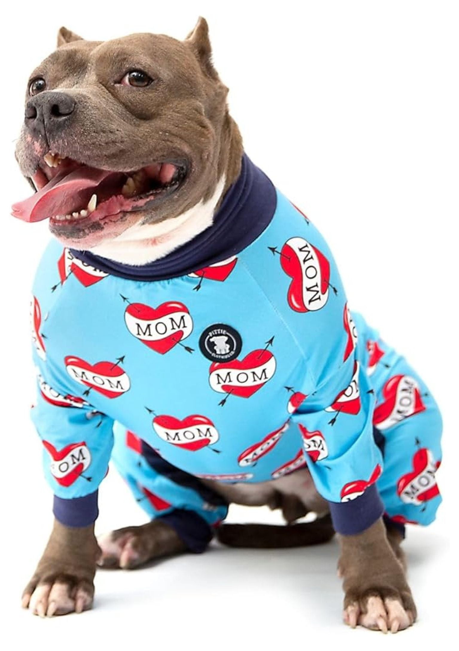 Matching Pajamas Dog Pajamas For Pitbulls Lovinpet Big Dogs