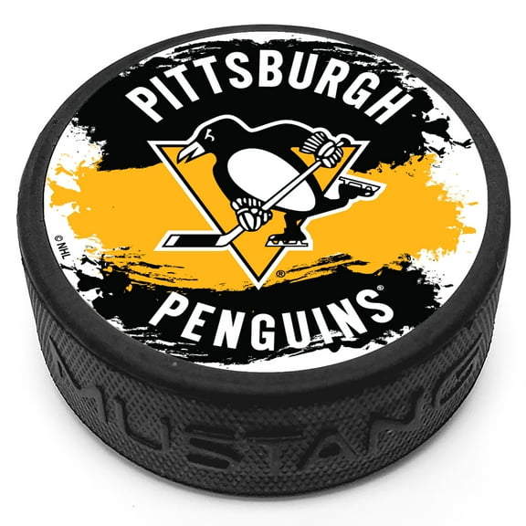 Pittsburgh Penguins Splash Puck