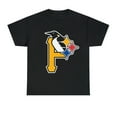Pittsburgh Ultimate Sport Teams Fan Shirt Different Colors Available