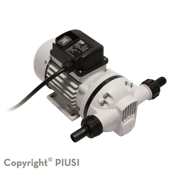 Piusi F0020310H Diaphragm Pump 120v 9gpm 6ft Cable