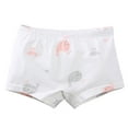 thumbnail image 1 of Piuwrlz Big Kids Boxer Briefs Underwear for Girls Printed Cotten Panties White Size 9Years, 1 of 2