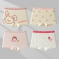 thumbnail image 1 of Piuwrlz Teen 4PC Boxer Briefs Girl Underwear,4-Pack Printed Cotten Panties Pink Size 15 Years, 1 of 3