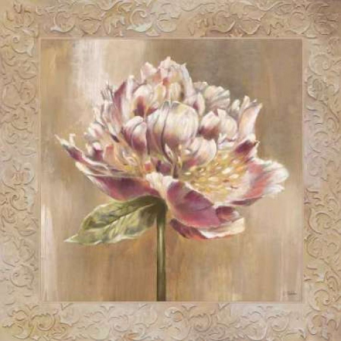 Pivoines I Canvas Art - Selina Werbelow (24 x 24)