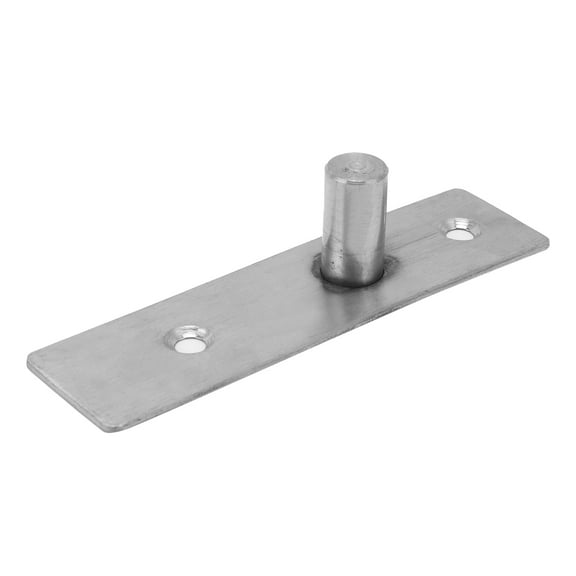 Pivot Hinge Pin 201 Stainless Steel Door Pivot Hinge for Glass Doors Furniture Hardware Fitgs