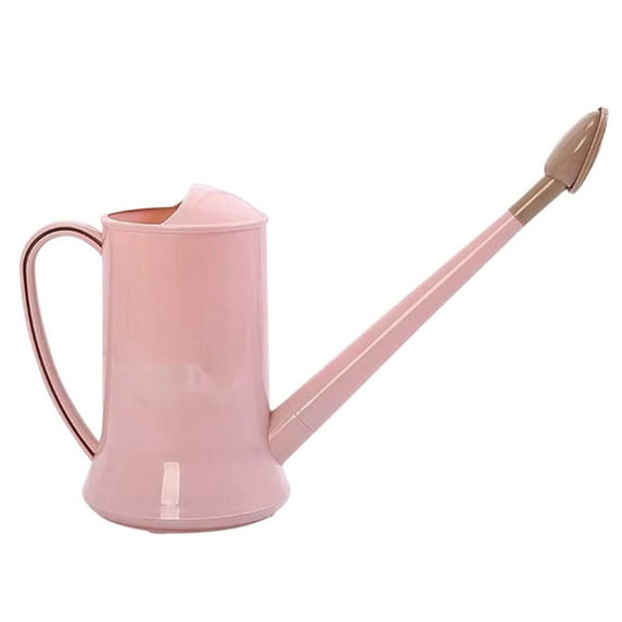 Piwvid 1/2 Gallon Small Indoor Plant Watering Can, 2L Long Spout Removable Nozzle Flower Watering Pot for Office House Indoor Garden (67 oz)
