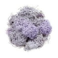 thumbnail image 1 of Piwvid Potted Garden Decoration Set with Natural Dry Moss and Artificial Plants for Wedding Party Crafts and Floral Backgrounds, 1 of 6