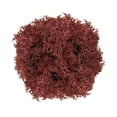 thumbnail image 1 of Piwvid Potted Garden Decoration Set with Natural Dry Moss and Artificial Plants for Wedding Party Crafts and Floral Backgrounds, 1 of 6