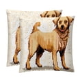 thumbnail image 1 of Pixel Dog Luxurious Velvet Decorative Pillows Covers - Set of 2 Throw Pillow Covers for Chair, Unique Patterns, 16x16, 18x18, 20x20 Inches for Any Occasion, 1 of 6