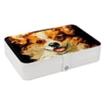 thumbnail image 1 of Pixel Dog Pu Leather Jewelry Box Earring Organizer Travel Organizer with Removable Compartment Portable, 1 of 6