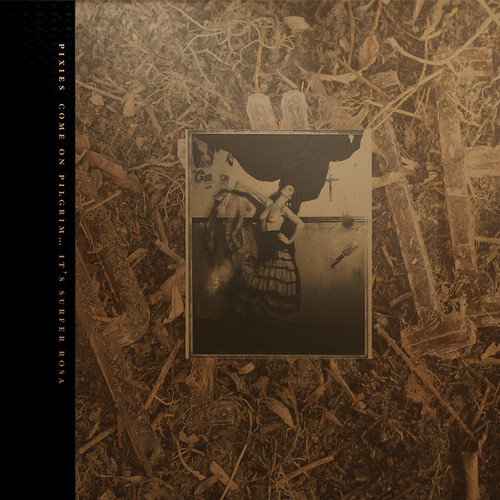 Pixies Come On Pilgrim It's Surfer Rosa Vinyl
