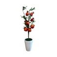 Pixies Gardens Artificial Pomegranate Plant in Ceramic Pot