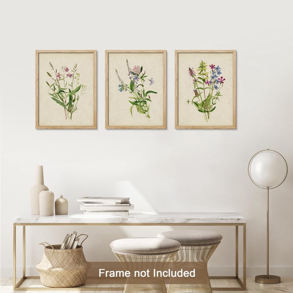PixonSign Adhesive Canvas Print Wall Art Set - Colorful Country Wildflowers Poster Art - Set of 3 Nature Wilderness Vintage Floral Banquet Wall Décor for Living Room, Bedroom, Office - 11"x14"